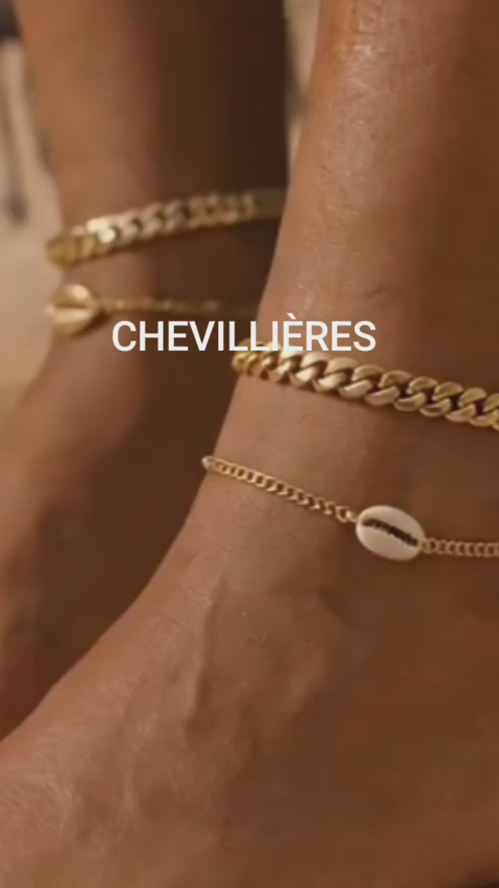 Charger la vidéo : 